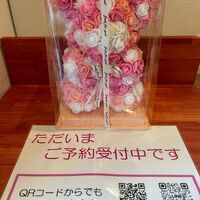 画像1381