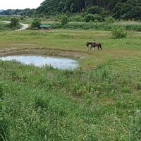 画像1739