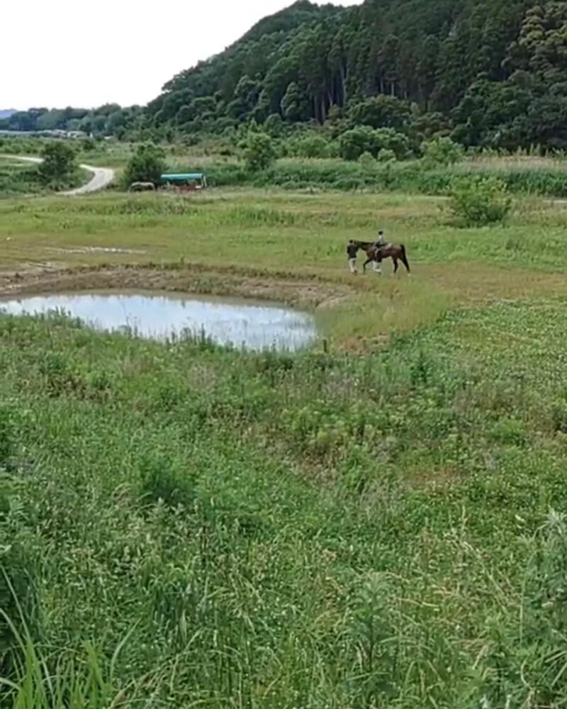 画像1739