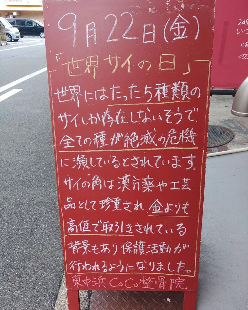画像2149