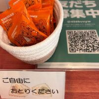 画像2475