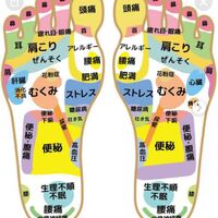 画像2564