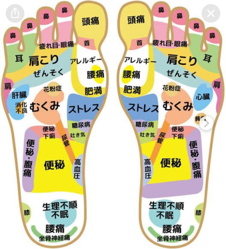 画像2564