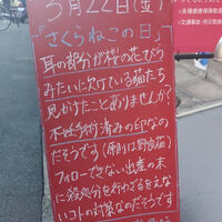 画像3008