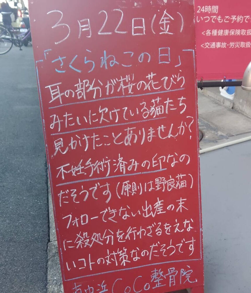 画像3008
