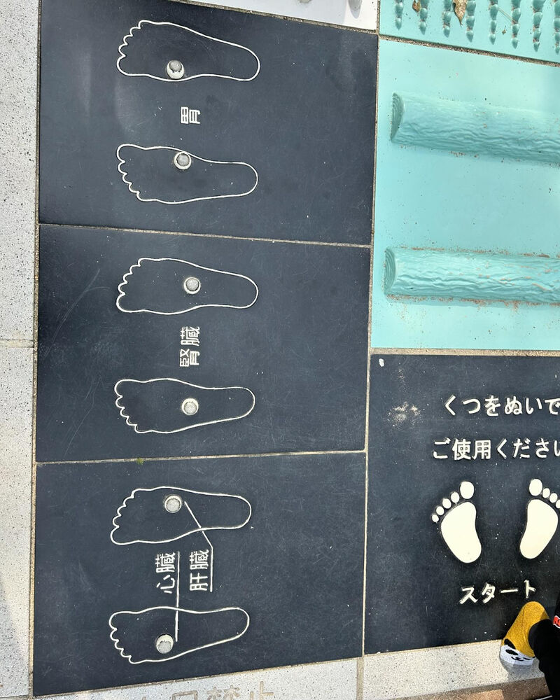 画像3168