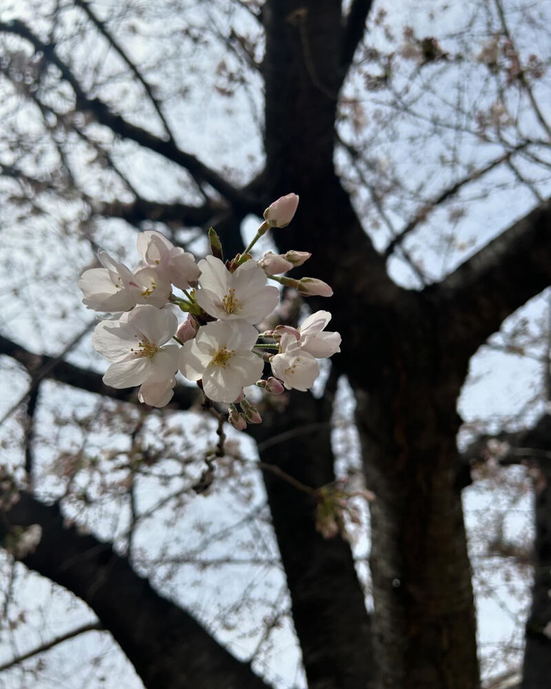 画像3180