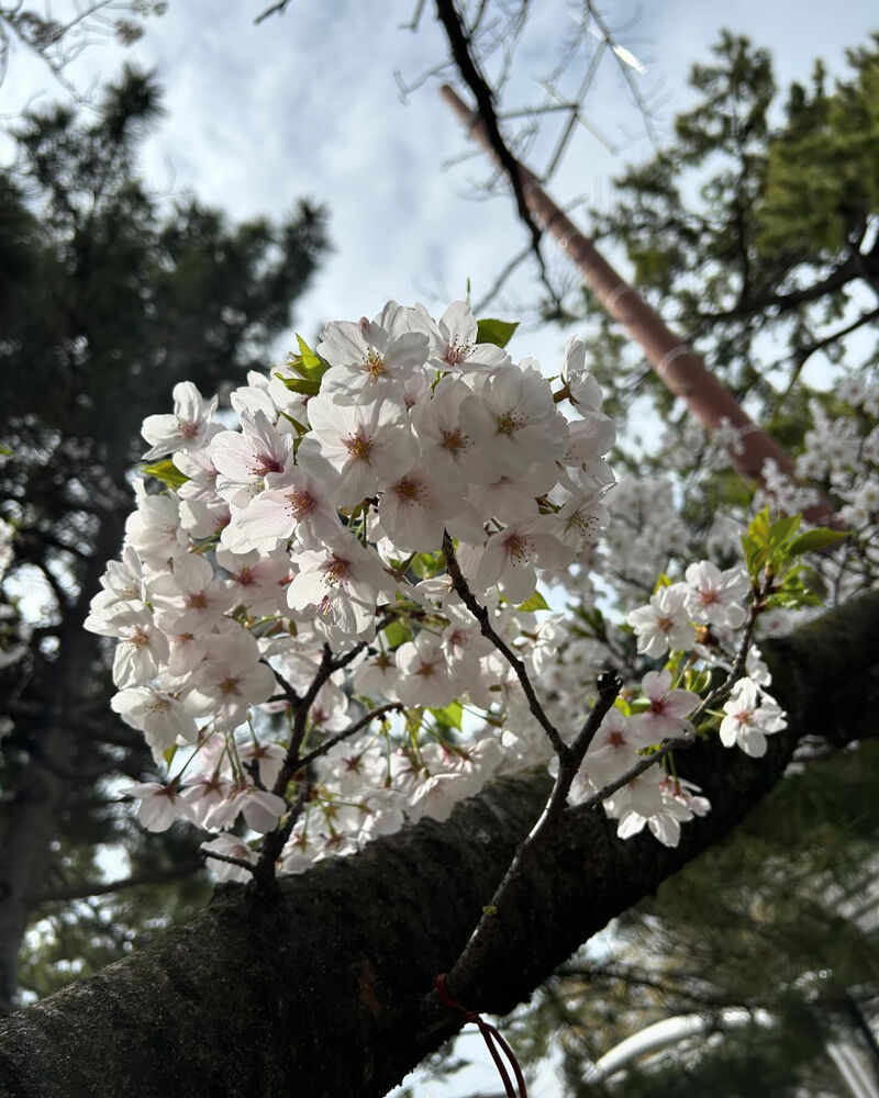 画像3205