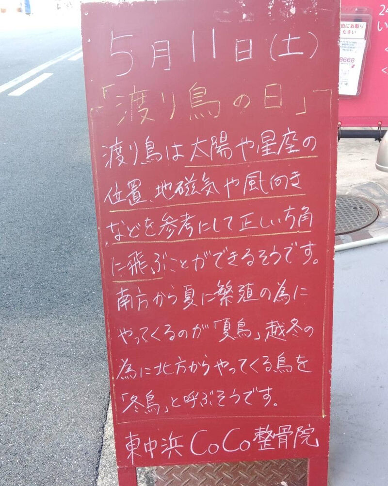 画像3371