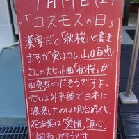 画像3939