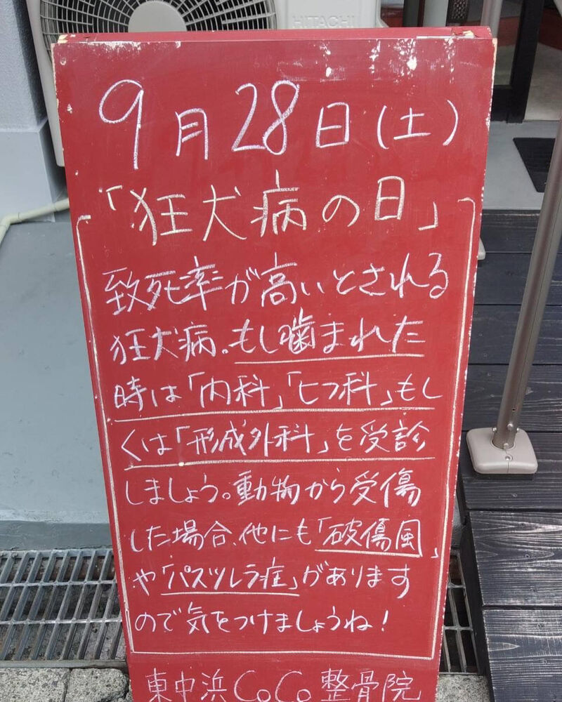 画像3992