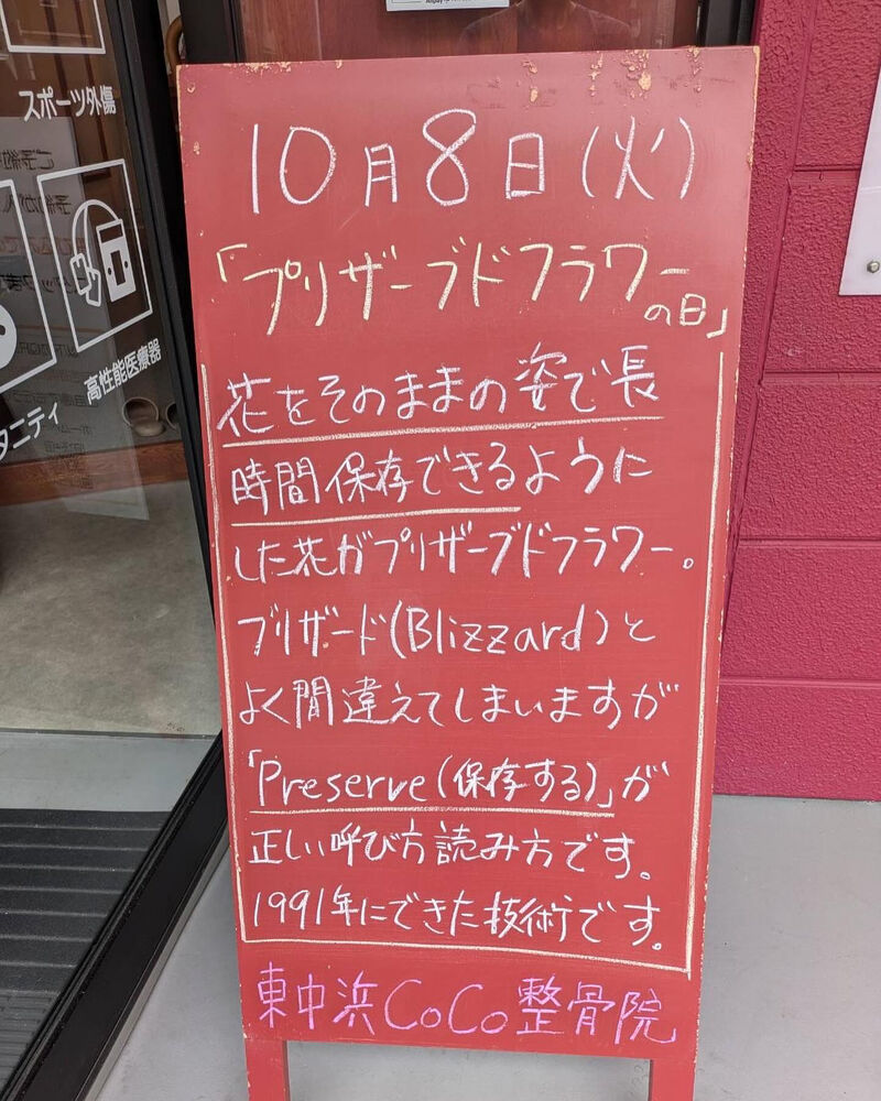 画像4026