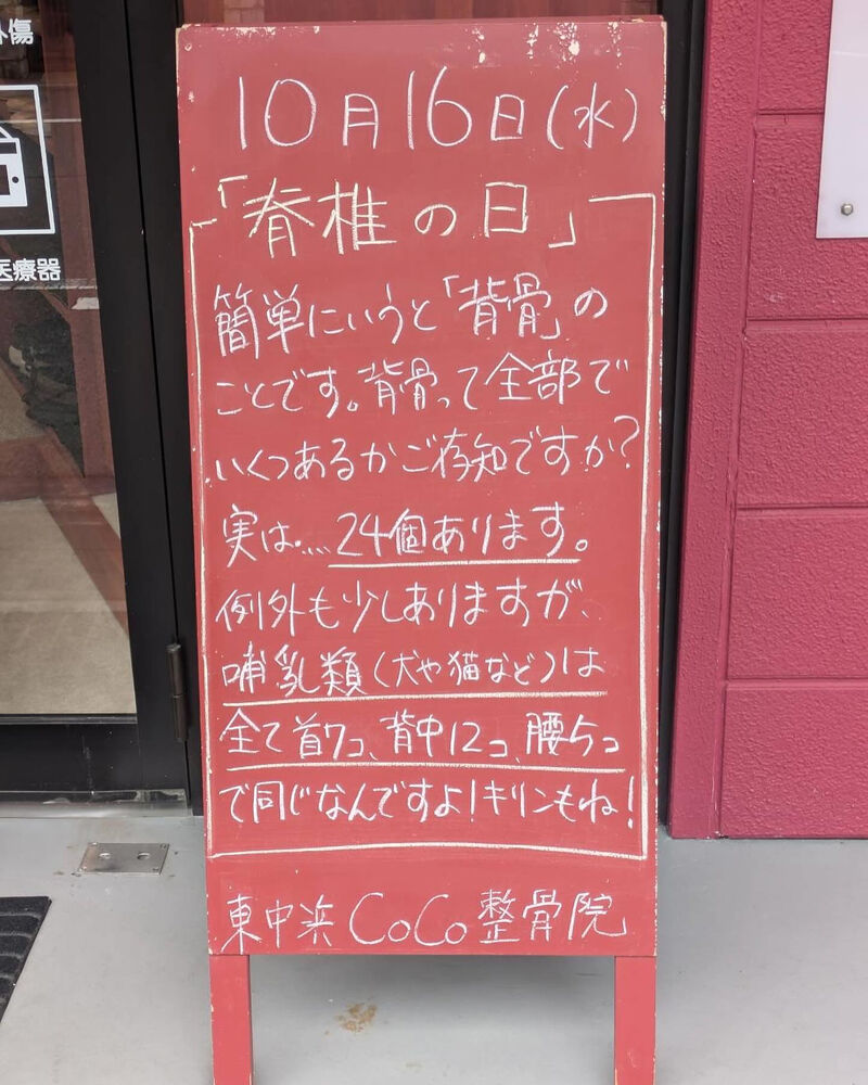 画像4053