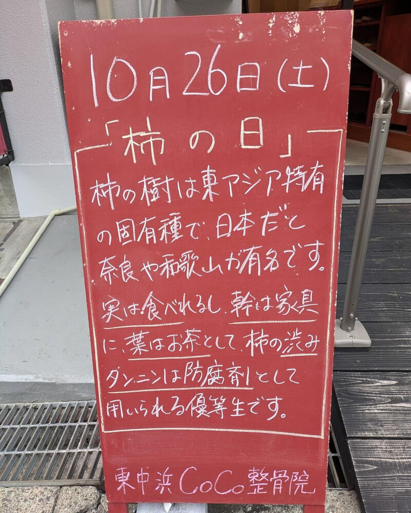 画像4093