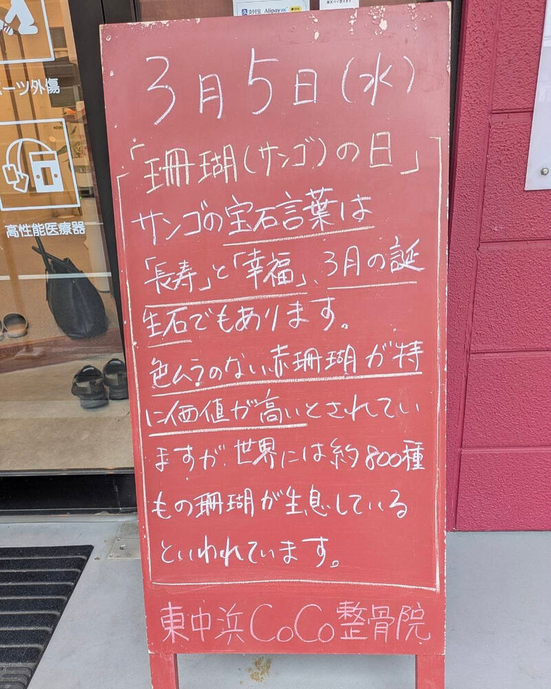 画像4560