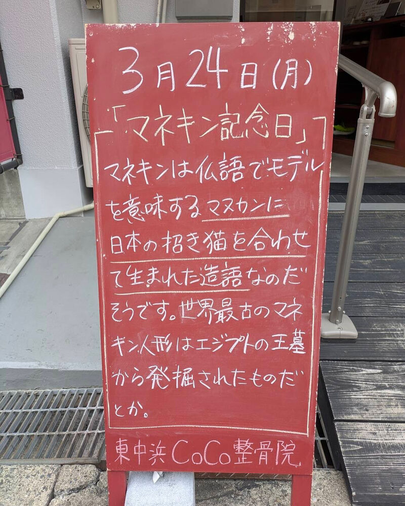 画像4624