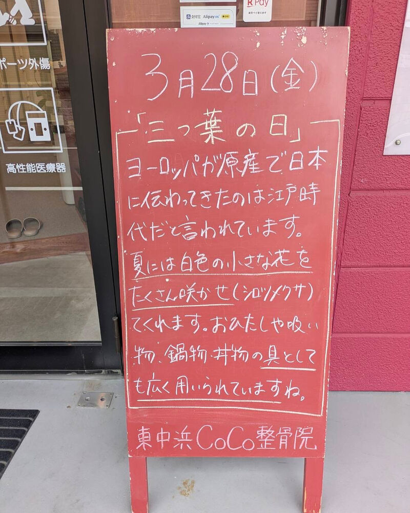 画像4646