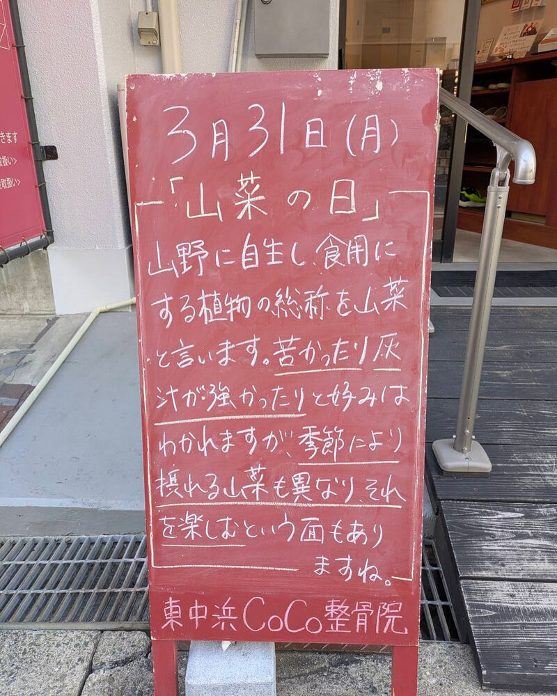 画像4654