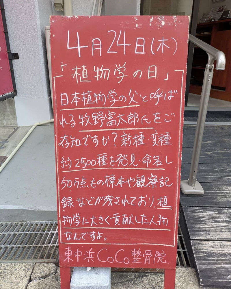 画像4743