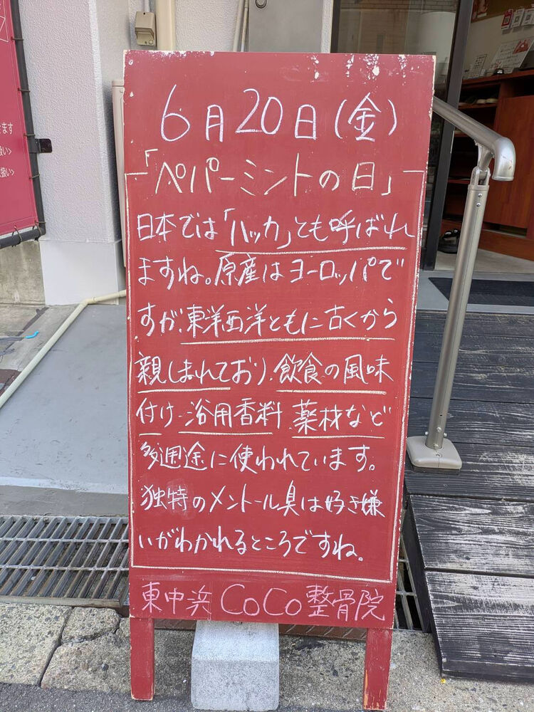 画像4948