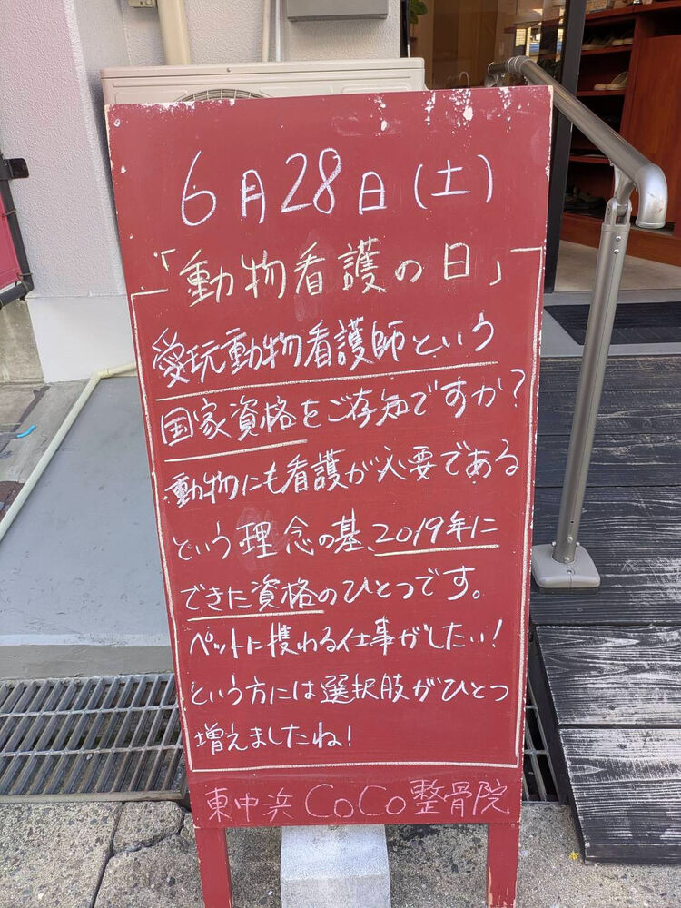 画像4980