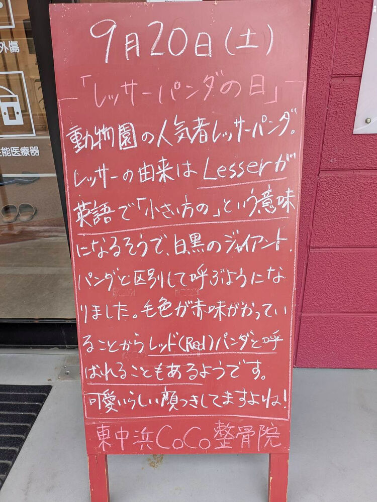 画像5257