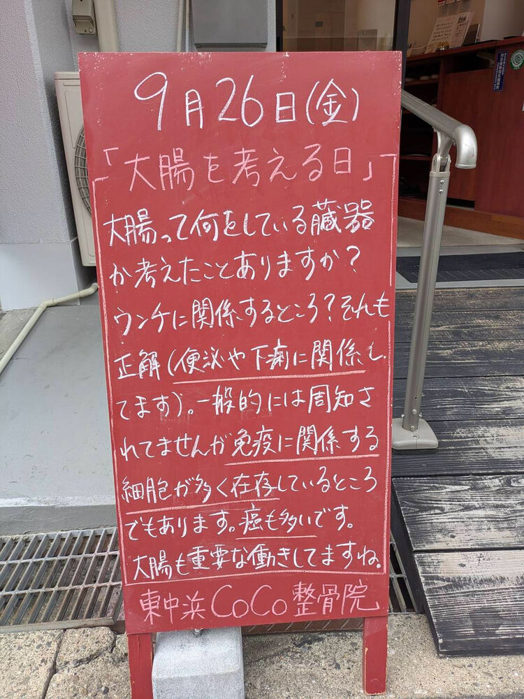 画像5278