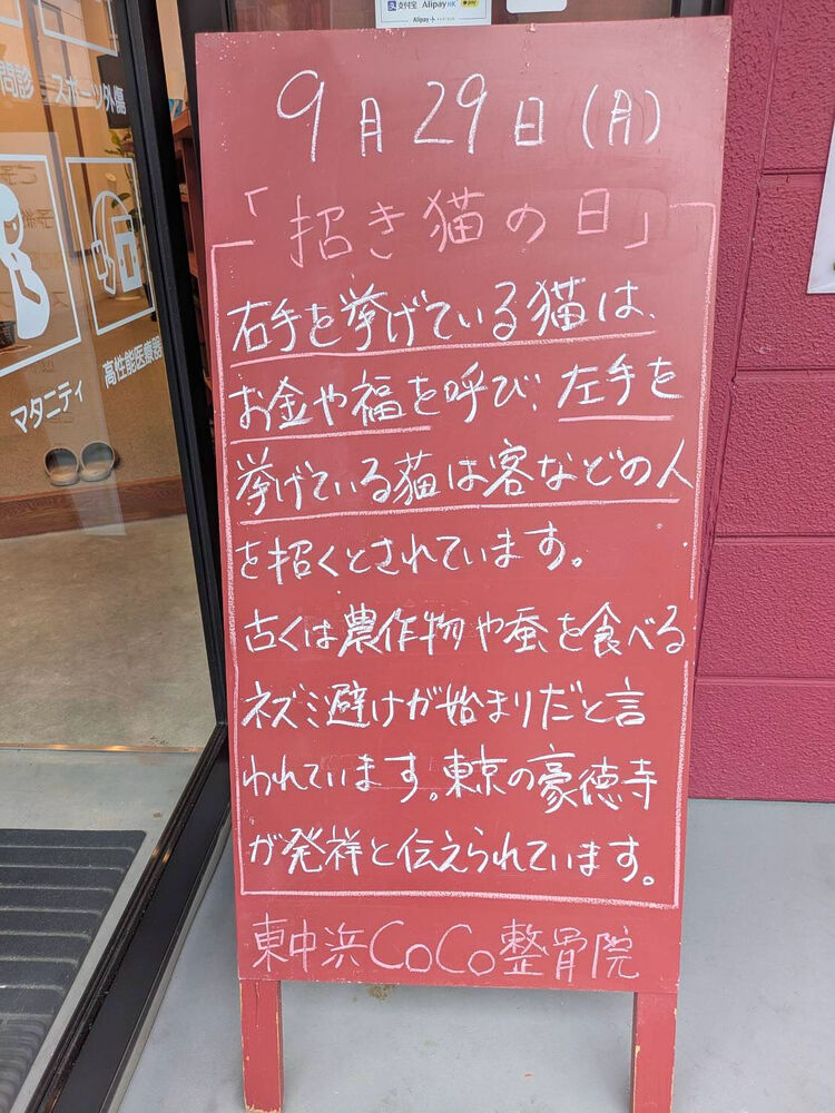 画像5286