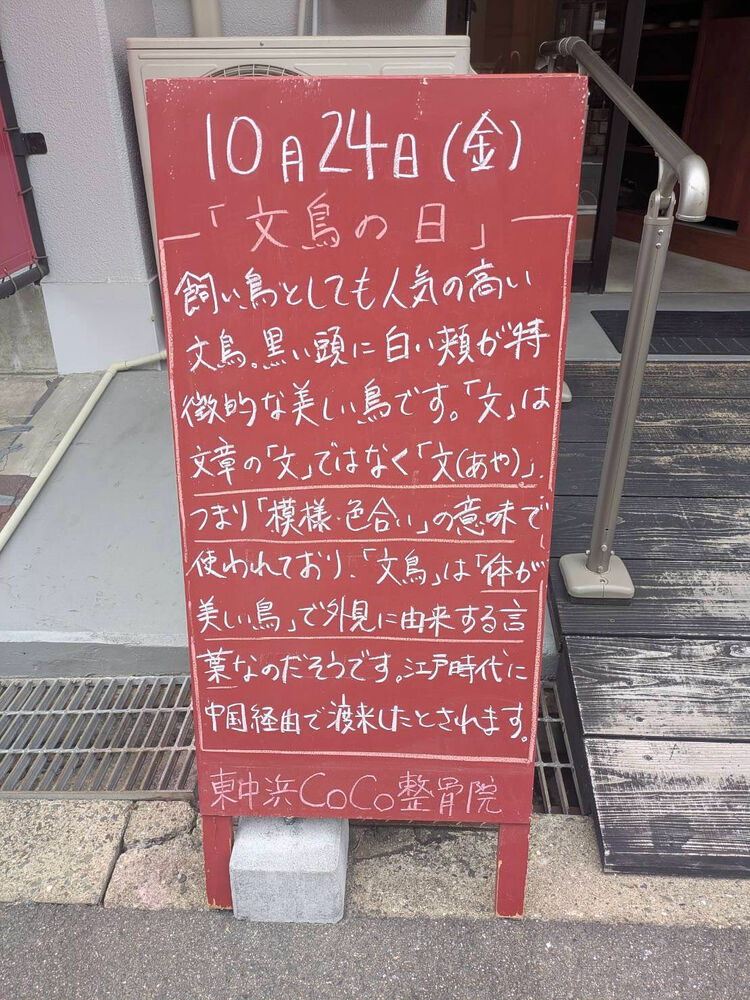 画像5375
