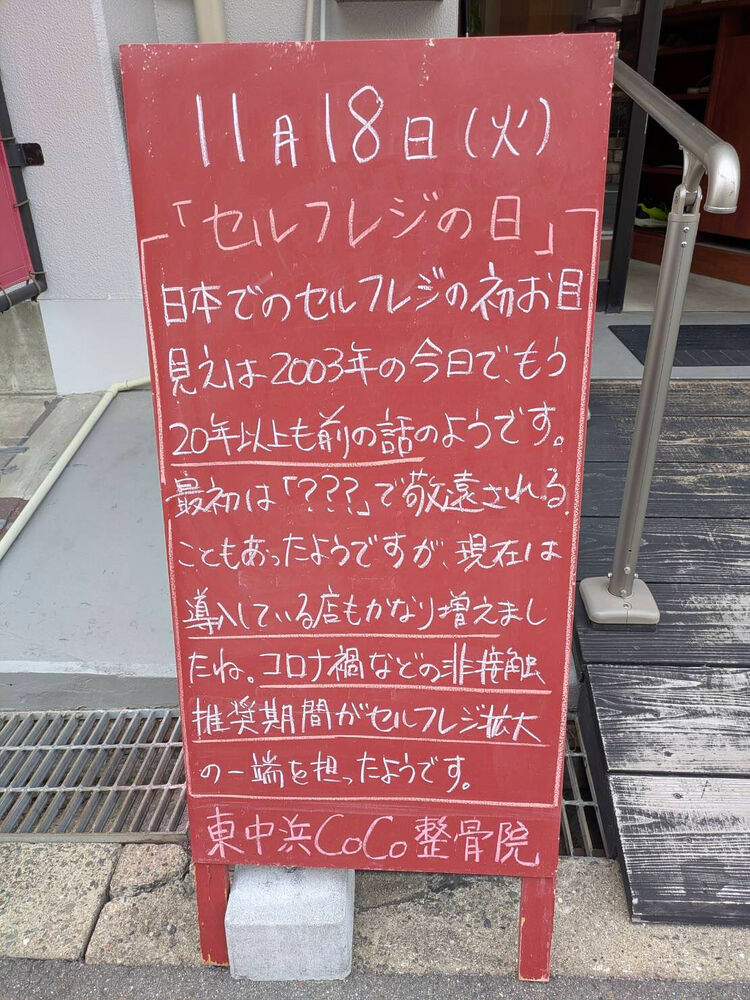 画像5461