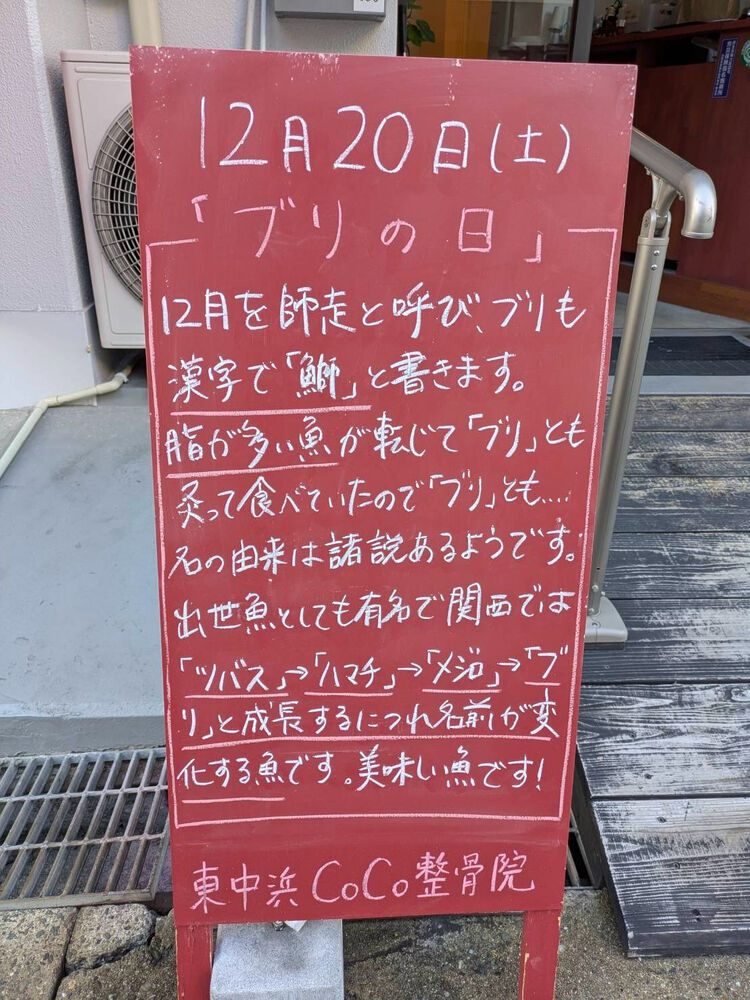 画像5574