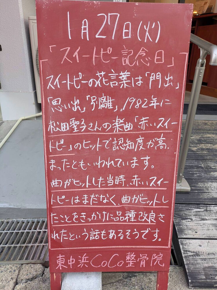 画像5685