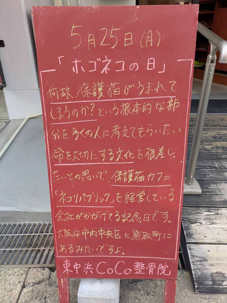 画像6085
