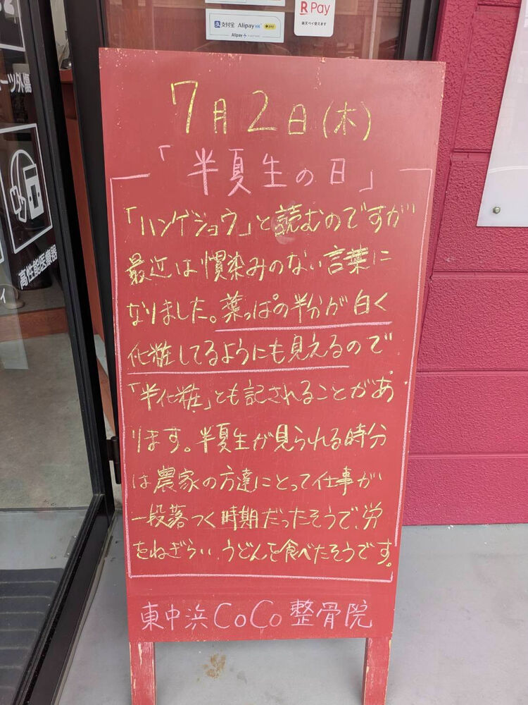 画像6230