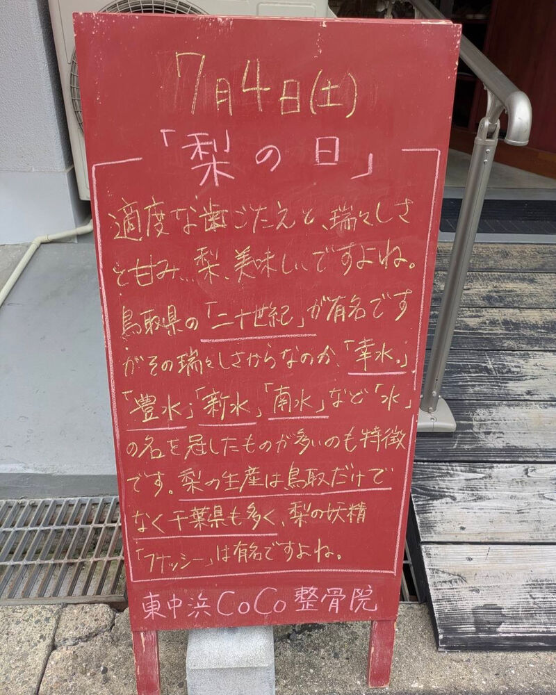 画像6238