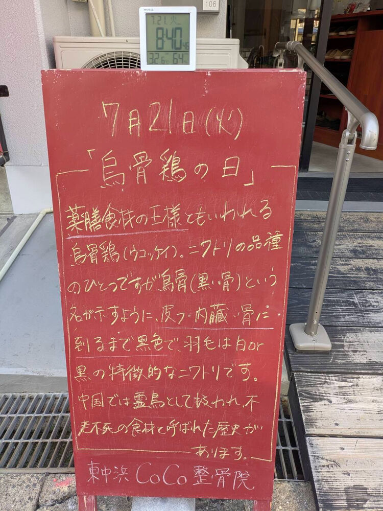 画像6306