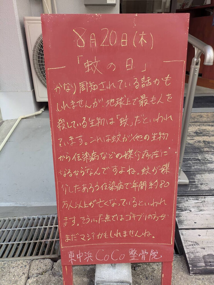 画像6416