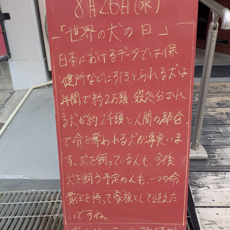 画像6436
