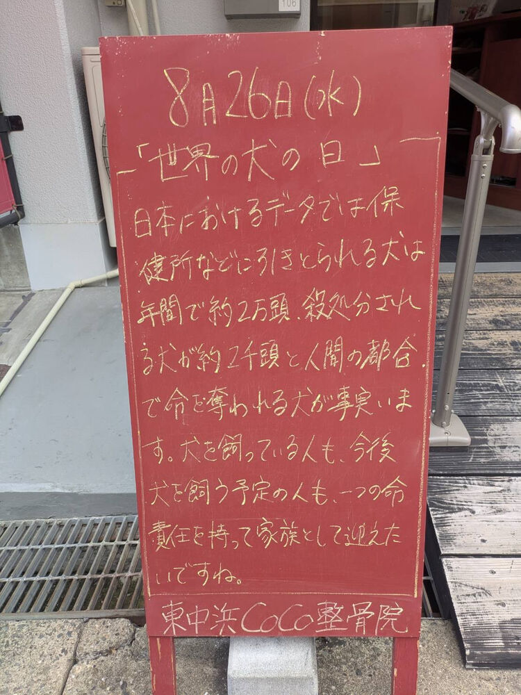 画像6436