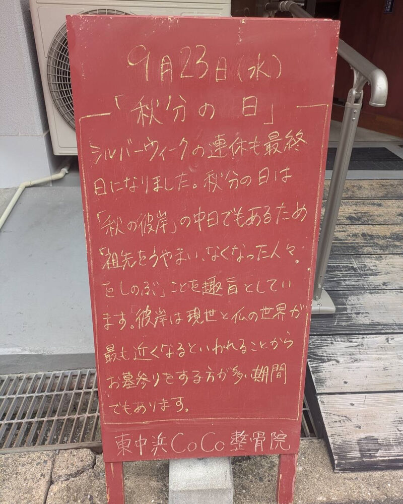 画像6528