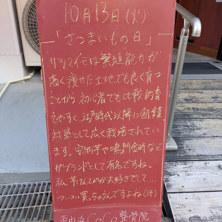 画像6596