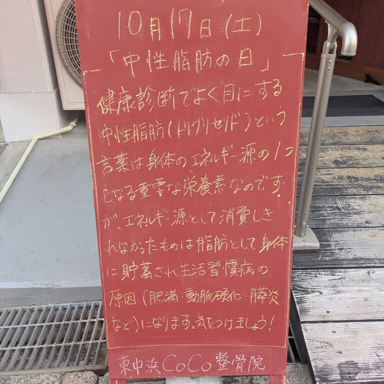 画像6612